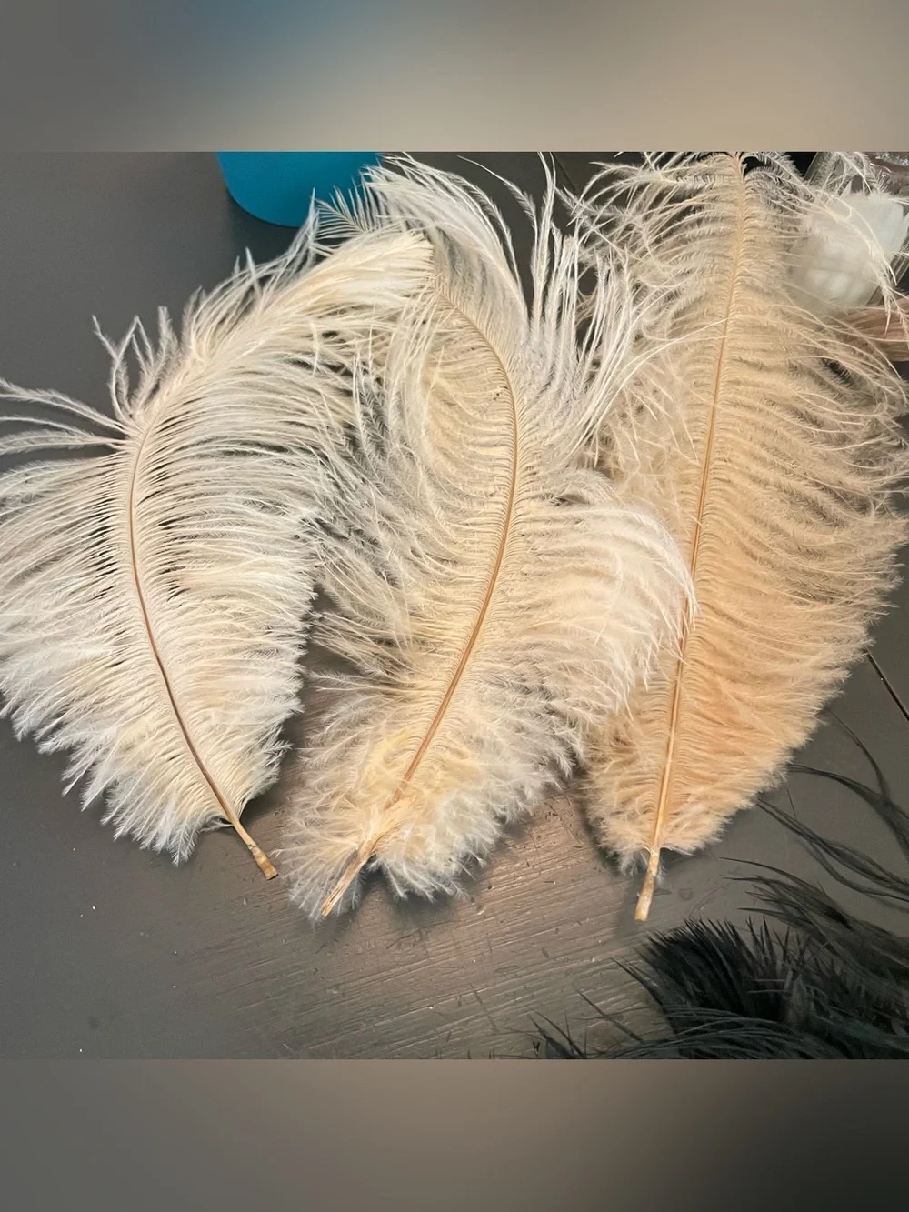 Natural Feather Plumes 3 feathers - Home Accents
